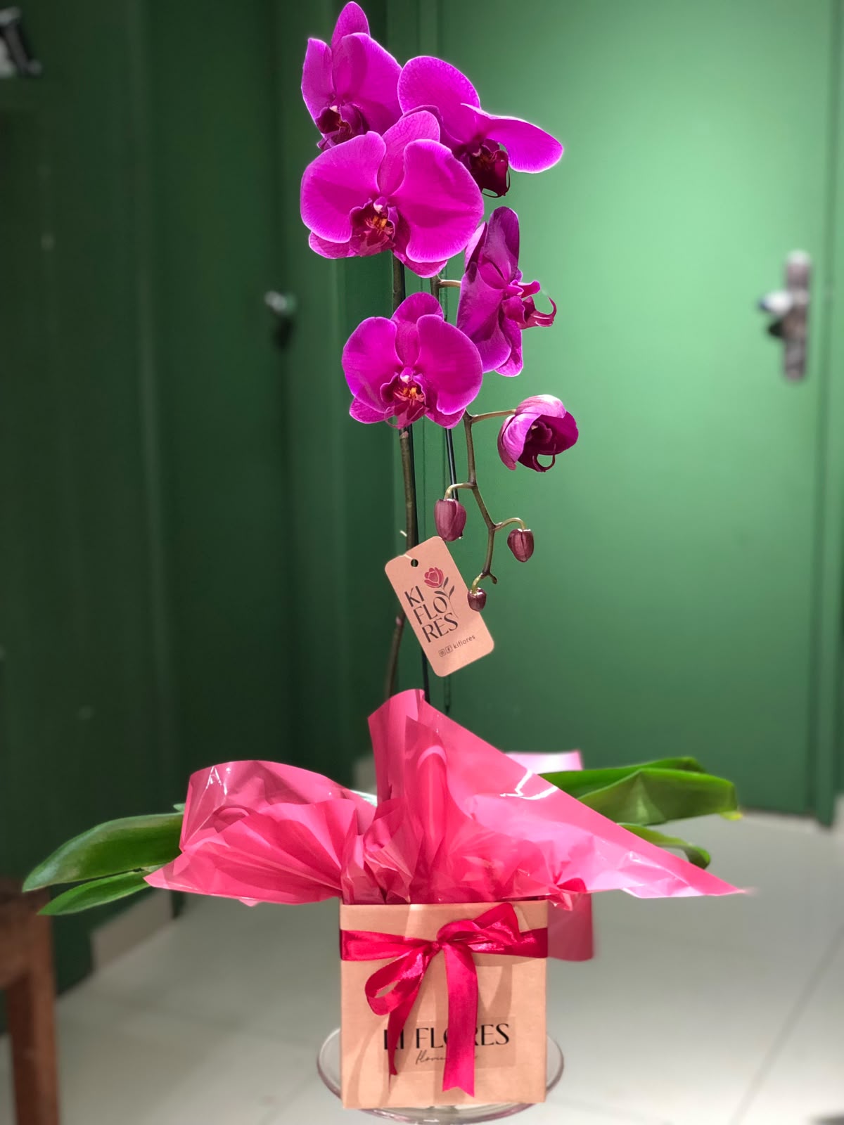 Orquídeas